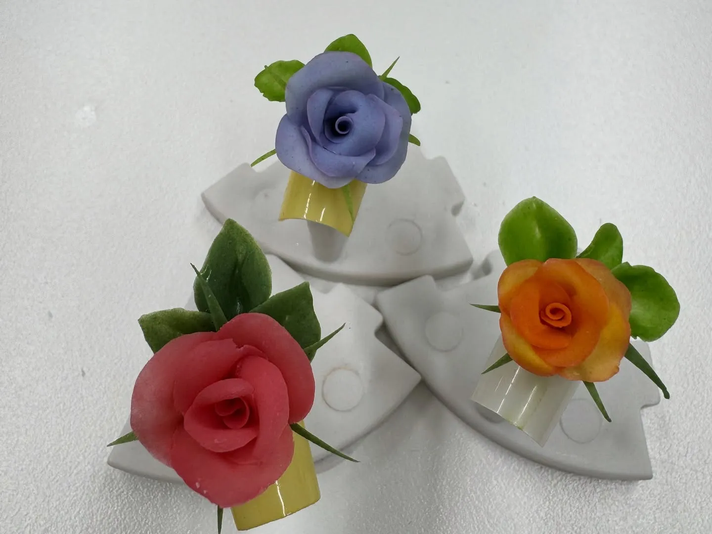 ずっとずっと勉強したかった